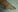 persexxfone's photo