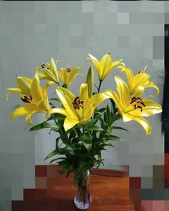 Lucy_limon Tôi yêu 💋❤️‍🔥❤️‍🔥🥰👌 Foto