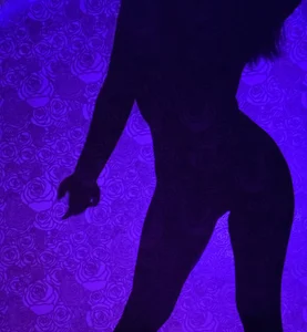 silhouette de TaylorDavids  4 photos