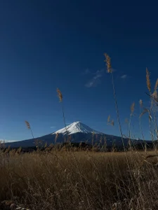 KateJonsonのMe and Mount Fuji 📍🗻の 8枚の写真