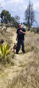 Thomasjons_ dog Foto