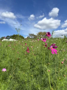 xxoLENAoxx expo a Osaka Foto 4