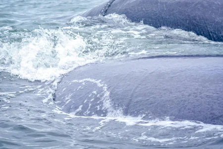 YourLittleFantasy another goal achieved 💙💦 whales🎯 Foto 3