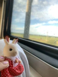 sota_starcaug my vibe 🌸 Poză 3