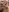 VictoriaSunShine's photo