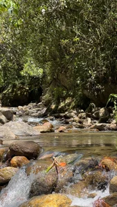 pau_star_ 🍃🧘🏻‍♀️I love nature 💚 Pic 6