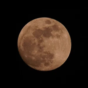 innocenttemplegirl 🙂‍↔️ slika 2