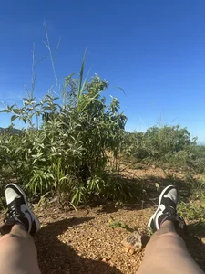 nezonx Relaxed Bilde 5