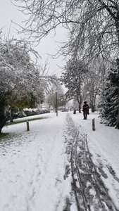 fun de dadada20  Imagens