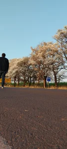 Leocesar37 Publico Pic 6