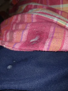 Cum de vaasuboy01  2 photos