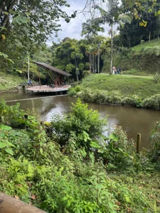 Ahri_Elderwood I want to share a little about my beautiful country and my vacations ❤️ Pic 4