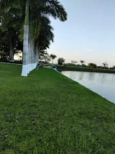 MIA-LARIOS 🌺 รูป  2