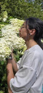 _Astrea_ Public Bilde