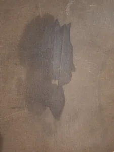 cplcokins34のSquirt de Rorschachの 3枚の写真