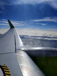 Benzou_the_Painter Public 사진 5