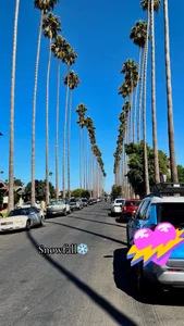 Anisha_Foxx Los Angeles California Pic 2