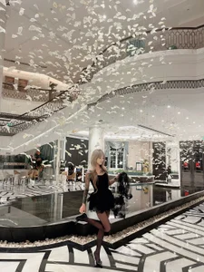 stt0708 小菲 사진 3