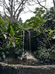 mari_pauli_xxI love nature 🪴🌿🪵 Bild