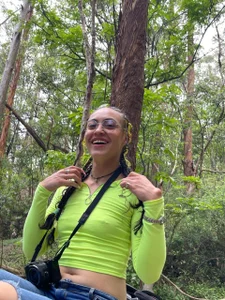 Bosque