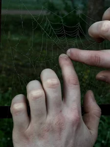 Public de Breston_Sweet Foto 4