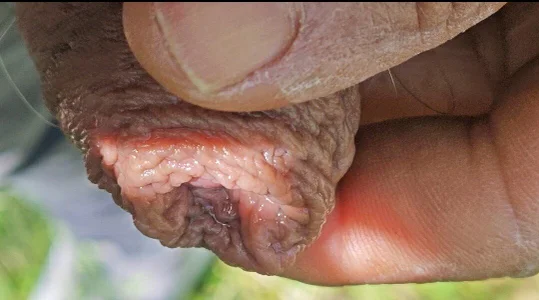 jhonschen's Tra la natura Sex Photo 1