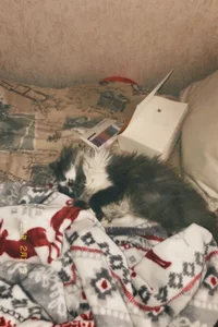 My kitty🐈‍⬛ od AmourLily  2 snímek