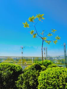 Zdjęcia nicocaceres95 Chile🇨🇱:  7