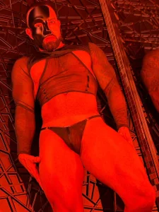 Maofenix Halloween 🔥 รูป  2