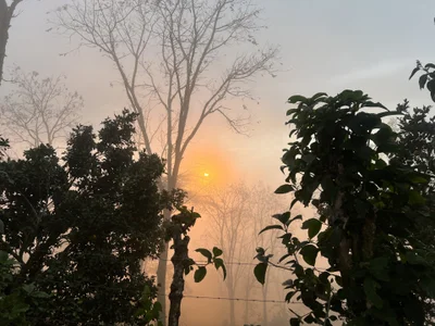 MARIA_SOF1A kullanıcısının landscapes albümü -  4 fotoğraf