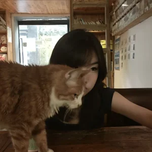 baoli_888Public图片 2