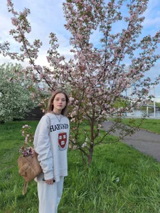 EdlinHargus Public 圖片 3