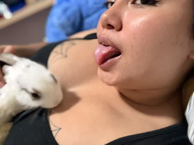 Geabloom MY BUNNY 🥕 รูป 