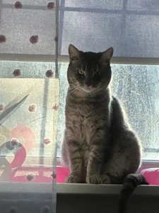 Public de iiveran4ik  5 Imagens