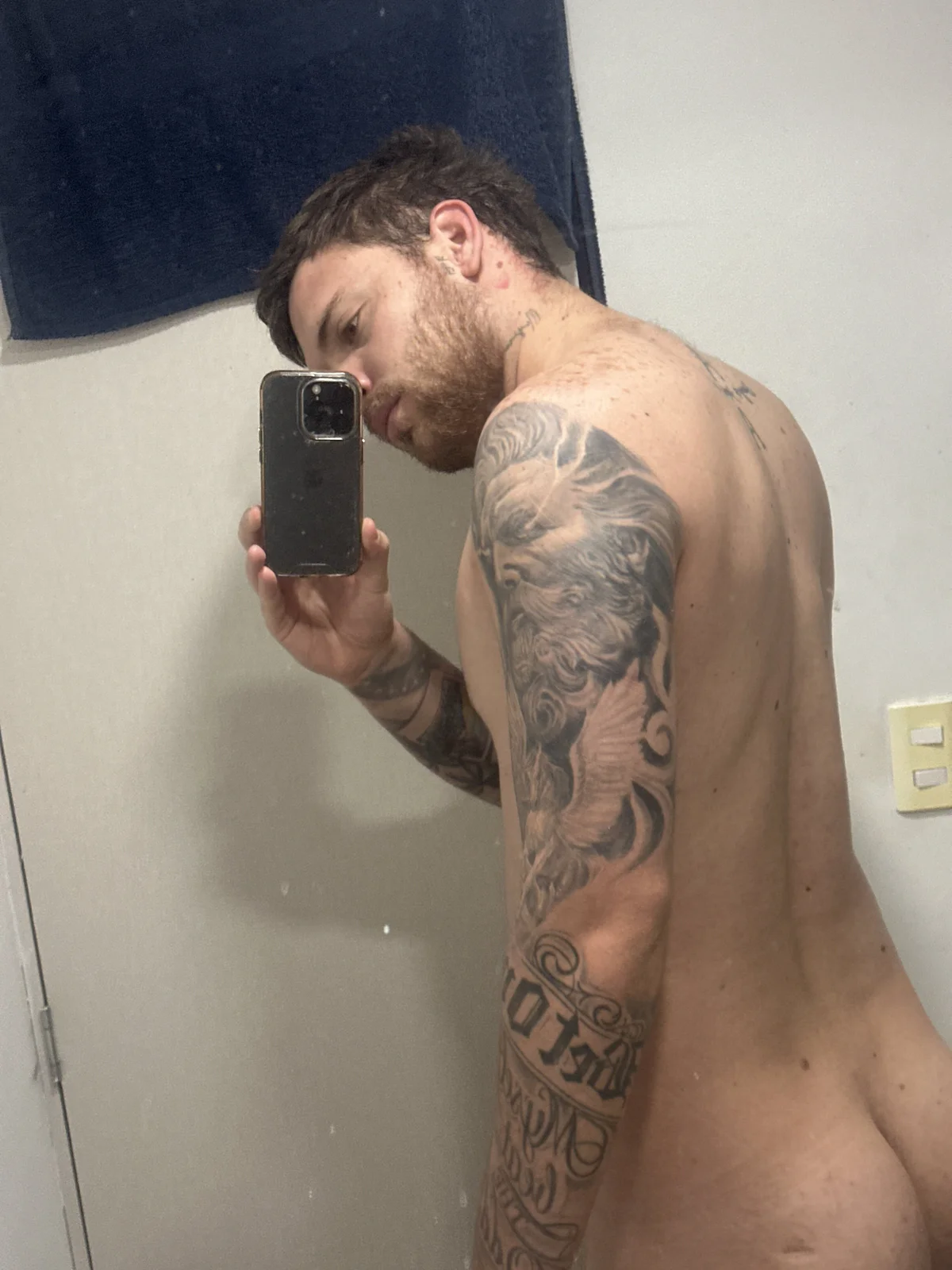 Трендове зображення  9152 arnold_bekam