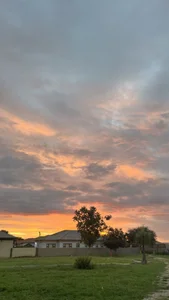 DICK5016: Public ( 5 фото)