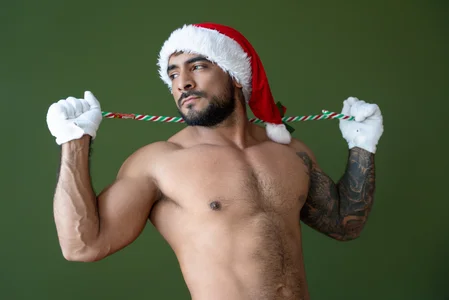 ERIC_HARRISON CHRISTMAS  6টি ছবি