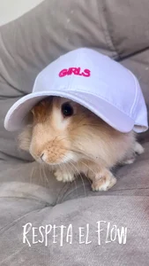 Elyross1_ Details 🤍🎀 Pic 3