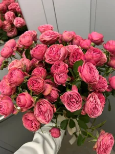 KateJonson I bought flowers yesterday Bilde