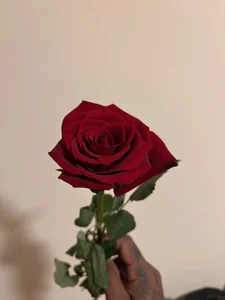 secrets-casal Um pouco de nós!🔥 Immagine  5