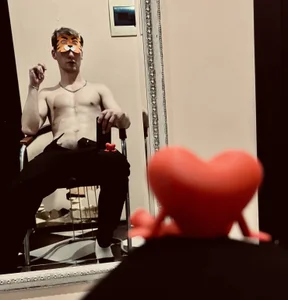 SirVDD Public Immagine  2