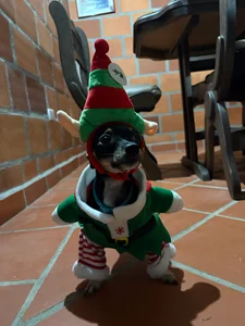 XXXAngella Pet Atlas 🐶 Foto 3