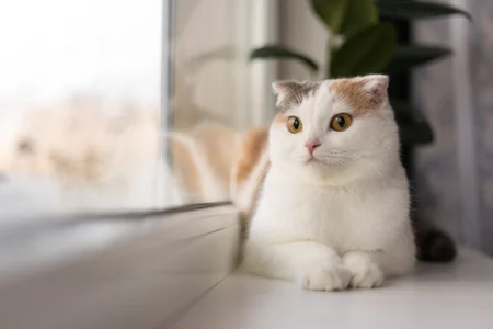 Public od YUZU_nyan_  3 snímek
