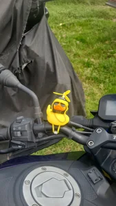 Rolito69Chill Bild 2