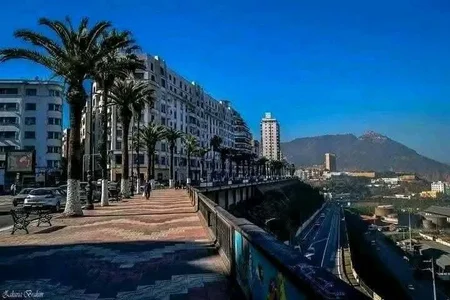 Safi_59 Public 사진