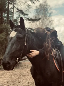 DianaRizz Horse ❤️ зображення 3
