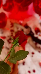 NebetColin HAPPY VALENTINE'S DAY Poză 2