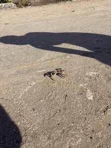 Public od Arizaa1  2 snímek