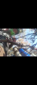 blakeli_peython Public Εικόνα 2