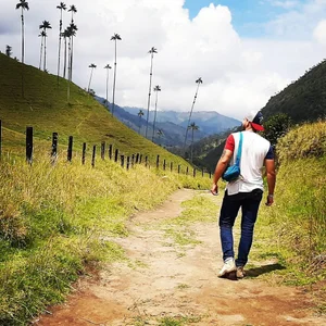 mr_david_coxA little of my life.图片 2